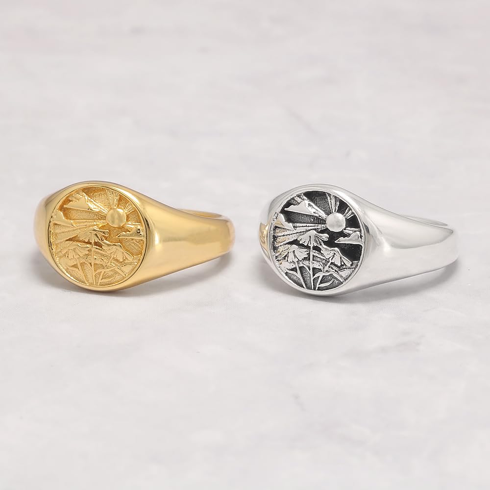 RogJewelry Symbol Signet Stackable Rings in Sterling Silver Gold/Silver Pinky Ring for Women and Men 14k Gold Plated Jewelry