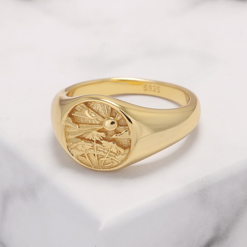 RogJewelry Symbol Signet Stackable Rings in Sterling Silver Gold/Silver Pinky Ring for Women and Men 14k Gold Plated Jewelry